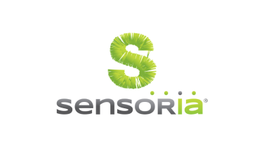 cybervision partner logo
